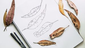 A spiral sketchbook with pencil line drawings of leaves alongside real autumn leaves on a bright desk