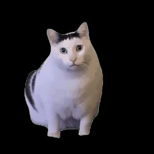 White and grey cat sitting upright with a curious expression